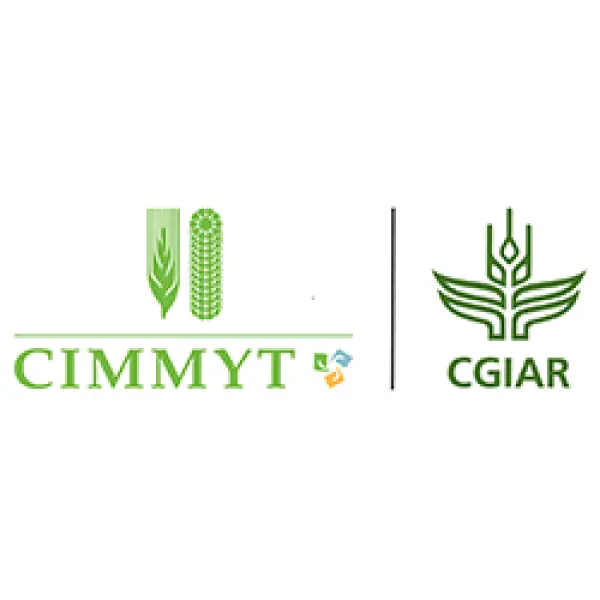 Job Vacancy for CIMMYT International