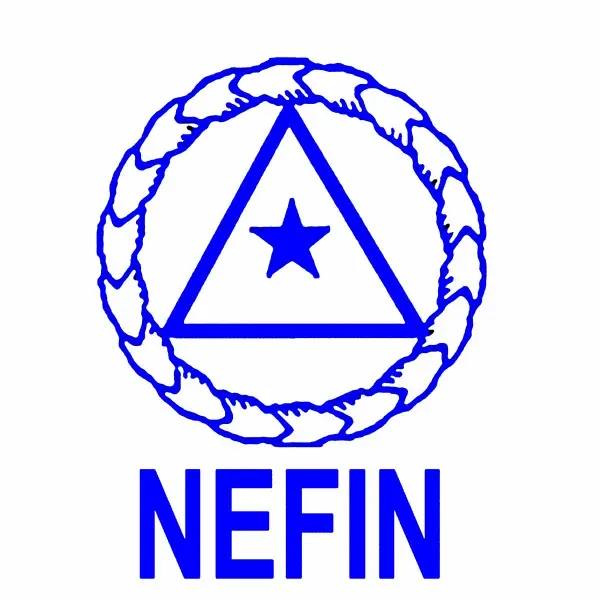Job Vacancy for NEFIN