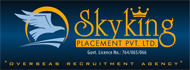 Job Vacancy for Skyking Placement Pvt. Ltd.