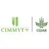 CIMMYT International