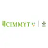 CIMMYT International