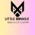 Little miracle media co.ltd