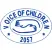 Voice Of Children