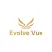 Evolve Vue Pvt Ltd