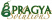 Pragya Solutions for Sustainable Development Pvt. Ltd
